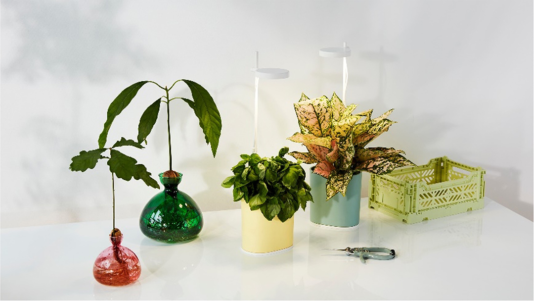 Bring the outside in with MoMA’s indoor gardening essentials